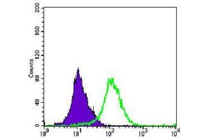 Flow cytometric analysis of K562 cells using MAP2K4 mouse mAb (green) and negative control (purple). (MAP2K4 抗体)