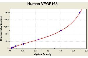 Diagramm of the ELISA kit to detect Human VEGF165with the optical density on the x-axis and the concentration on the y-axis. (VEGF 165 ELISA 试剂盒)