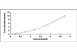 Typical standard curve (WNT7B ELISA 试剂盒)