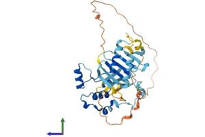 Protein Structure (PS) image for Polo-Like Kinase 5 (PLK5) (AA 1-336) protein (His tag) (ABIN7550854)
