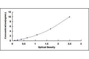 Typical standard curve (NIPA1 ELISA 试剂盒)