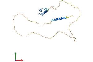 Protein Structure (PS) image for Emerin (EMD) (AA 1-254) protein (His tag) (ABIN7553799)