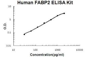 Human FABP2/I-FABP PicoKine ELISA Kit standard curve (FABP2 ELISA 试剂盒)