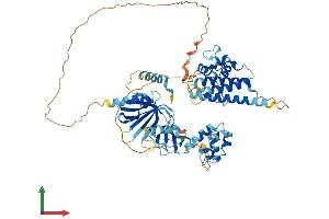 AlphaFold protein structure predicition of Mouse Recombinant Eps8l3 Protein, UniprotID Q91WL0