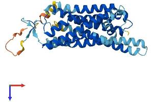 TAAR5 Protein (AA 1-337) (His tag)