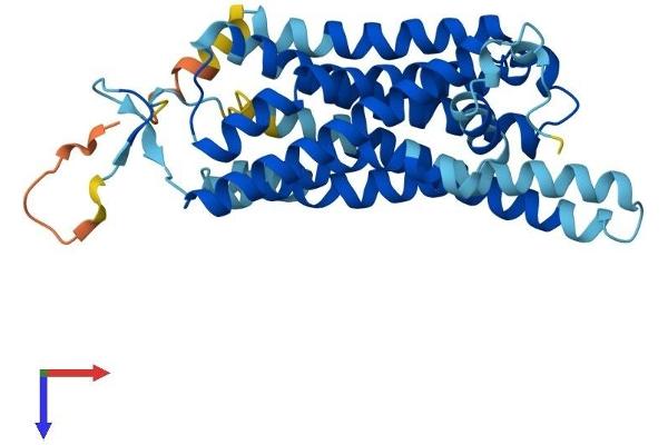TAAR5 Protein (AA 1-337) (His tag)
