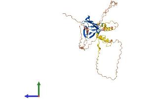 AlphaFold protein structure predicition of Human Recombinant LMNTD1 Protein, UniprotID Q8N9Z9