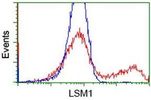 Flow Cytometry (FACS) image for anti-LSM1 Homolog, U6 Small Nuclear RNA Associated (LSM1) (AA 1-133) antibody (ABIN1490575) (LSM1 抗体  (AA 1-133))
