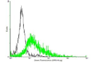 FACS analysis of negative control 293 cells (Black) and P2RY8 expressing 293 cells (Green) using P2RY8 purified MaxPab mouse polyclonal antibody. (P2RY8 抗体  (AA 1-359))