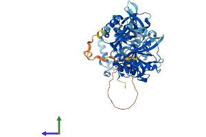 AlphaFold protein structure predicition of Mouse Recombinant Rngtt Protein, UniprotID O55236
