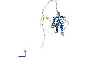 AlphaFold protein structure predicition of Mouse Recombinant Morf4l2 Protein, UniprotID Q9R0Q4