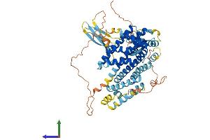 AlphaFold protein structure predicition of Human Recombinant RFX8 Protein, UniprotID Q6ZV50