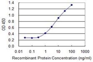Detection limit for recombinant GST tagged BNC1 is 0. (Basonuclin 1 抗体  (AA 599-705))