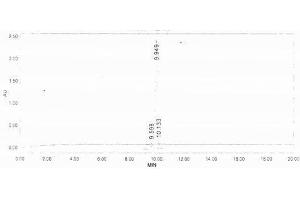 Image no. 1 for Complement Component C9 (C9) peptide (Ovalbumin) (ABIN5666135) (Complement Component C9 (C9) peptide (Ovalbumin))