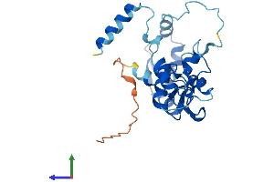 Protein Structure (PS) image for Ring Finger Protein 166 (RNF166) (AA 1-237) protein (His tag) (ABIN7557156)