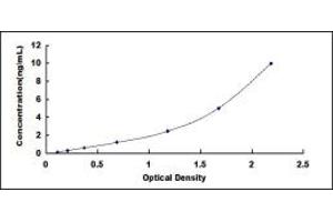 Typical standard curve (FTH1 ELISA 试剂盒)