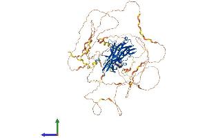 AlphaFold protein structure predicition of Human Recombinant NFATC4 Protein, UniprotID Q14934