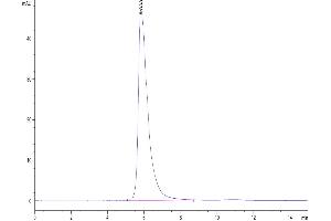 Size-exclusion chromatography-High Pressure Liquid Chromatography (SEC-HPLC) image for Natural Cytotoxicity Triggering Receptor 1 (NCR1) (AA 22-255) protein (mFc Tag) (ABIN7275352)