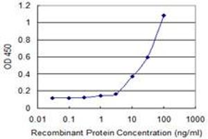 Detection limit for recombinant GST tagged KLK13 is 1 ng/ml as a capture antibody. (Kallikrein 13 抗体  (AA 179-277))