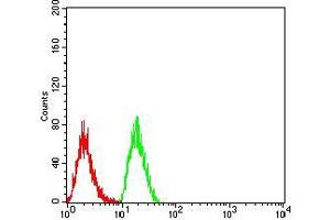 Flow cytometric analysis of Hela cells using TTF1 mouse mAb (green) and negative control (red). (TTF1 抗体  (AA 1-150))