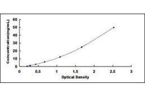 Typical standard curve (HSP27 ELISA 试剂盒)