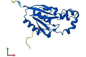 Protein Structure (PS) image for PPPDE Peptidase Domain Containing 2 (PPPDE2) (AA 1-168) protein (His tag) (ABIN7547040)