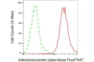 Flow cytometric analysis of Adenylosuccinate lyase expression in HeLa cells using Adenylosuccinate lyase antibody ( (ABIN7797524), 1:2,000). (Adenylosuccinate Lyase 抗体)