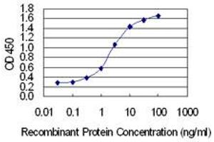 Detection limit for recombinant GST tagged COL5A2 is 0. (COL5A2 抗体  (AA 41-124))