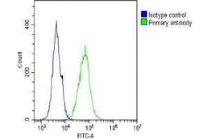 Overlay histogram showing A431 cells stained with (ABIN654644 and ABIN2844340) (green line). (IL12_2 (AA 756-783), (C-Term) 抗体)