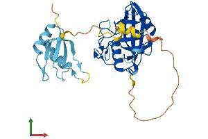 Protein Structure (PS) image for Peptidylprolyl Isomerase E (Cyclophilin E) (PPIE) (AA 1-301) protein (His tag) (ABIN7550862)