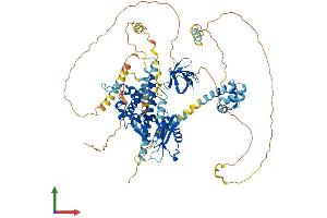 Protein Structure (PS) image for Epidermal Growth Factor Receptor Pathway Substrate 8 (EPS8) (AA 1-821) protein (His tag) (ABIN7563612)