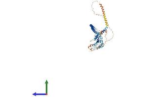 AlphaFold protein structure predicition of Human Recombinant LRRIQ3 Protein, UniprotID A6PVS8