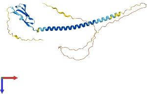 SUSD3 Protein (AA 1-269) (His tag)