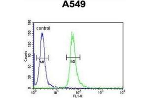 Flow cytometric analysis of A549 cells using GNAT3 Antibody (Center) Cat.