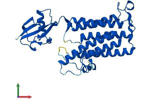 Protein Structure (PS) image for Trans-2,3-Enoyl-CoA Reductase (TECR) (AA 1-308) protein (His tag) (ABIN7560741)