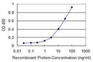 Detection limit for recombinant GST tagged EYS is 0. (EYS 抗体  (AA 309-407))