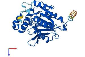 Protein Structure (PS) image for Spastic Paraplegia 21 (SPG21) (AA 1-308) protein (His tag) (ABIN7546227)