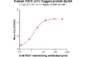 ELISA image for T Cell Immunoreceptor with Ig and ITIM Domains (TIGIT) (AA 22-141) protein (mFc Tag) (ABIN6961182)