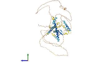 Protein Structure (PS) image for GATA Zinc Finger Domain Containing 2B (GATAD2B) (AA 1-593) protein (His tag) (ABIN7550612)
