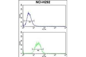 SNRPD2 Antibody (N-term) (ABIN390823 and ABIN2841054) flow cytometry analysis of NCI- cells (bottom histogram) compared to a negative control cell (top histogram). (SNRPD2 抗体  (N-Term))