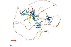 SH3D19 Protein (AA 1-790) (His tag)