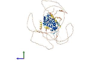 Protein Structure (PS) image for Cyclin T2 (CCNT2) (AA 1-723) protein (His tag) (ABIN7564208)