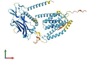 Protein Structure (PS) image for CLPTM1-Like (CLPTM1L) (AA 1-538) protein (His tag) (ABIN7546615)
