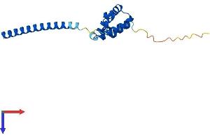 LDOC1 Protein (AA 1-151) (His tag)