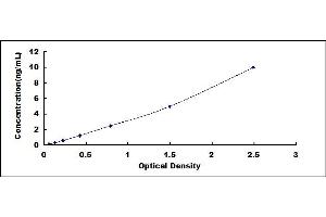Cytochrome C Oxidase Subunit II (COX2) ELISA Kit