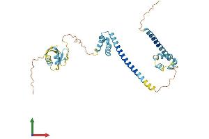 AlphaFold protein structure predicition of Mouse Recombinant Dffa Protein, UniprotID O54786