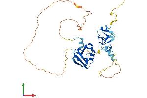 Protein Structure (PS) image for PDZ and LIM Domain 4 (PDLIM4) (AA 1-330) protein (His tag) (ABIN7556682)