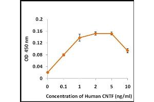 Activity Assay (AcA) image for Ciliary Neurotrophic Factor (CNTF) (Active) protein (ABIN5509411) (CNTF 蛋白)