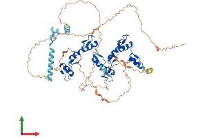 Protein Structure (PS) image for Zinc Finger Protein 205 (ZNF205) (AA 1-554) protein (His tag) (ABIN7545538)