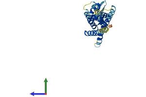Protein Structure (PS) image for ARV1 Homolog (ARV1) (AA 1-266) protein (His tag) (ABIN7560856)